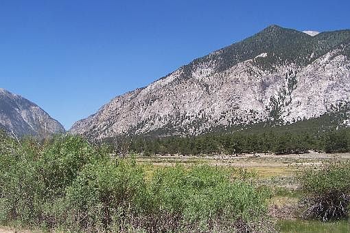 3rd image of 16222 County Road 289