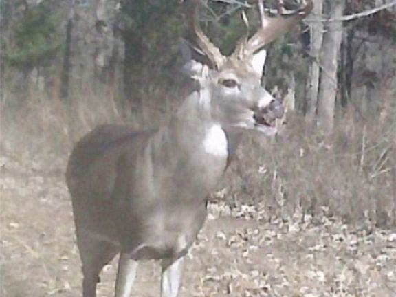 4th image of N County Road 3250