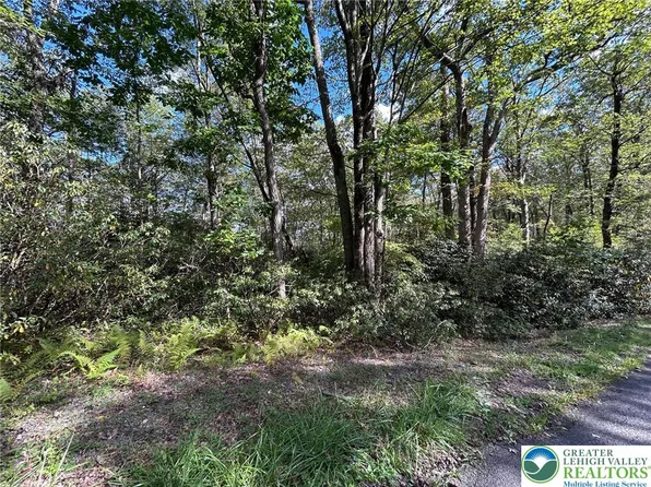 LOT A12 Rhododendron Rd, Jim Thorpe, PA 18229