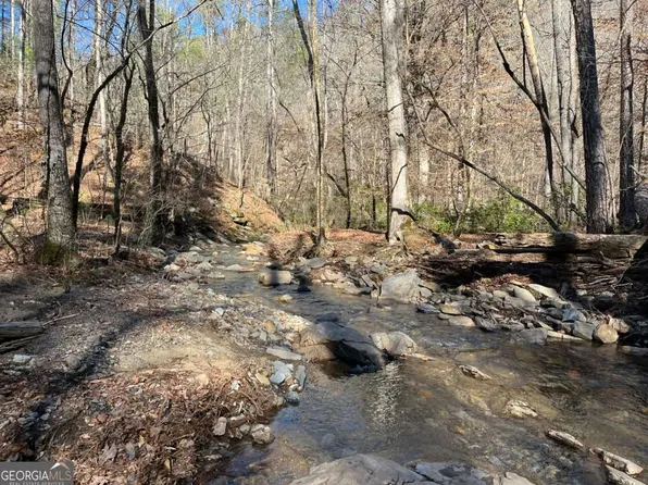 1769 Long Branch Rd, Talking Rock, GA 30175