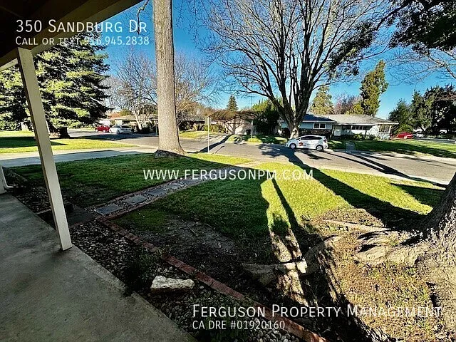 350 Sandburg Dr — Photo 23