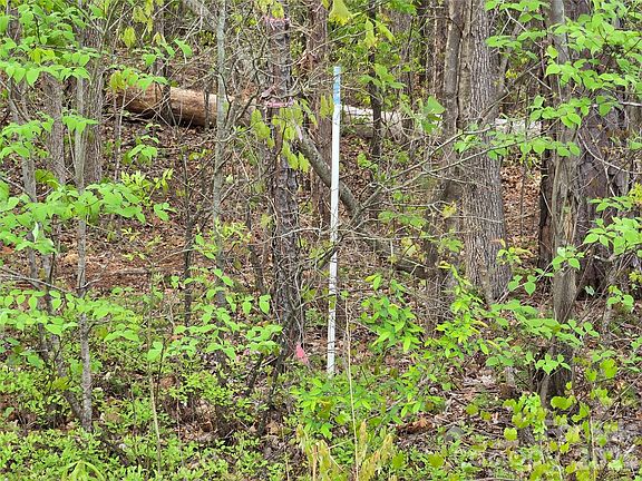 5th image of 3121 Cold Springs Rd S