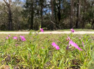 13201 SW Archer Ln Lot 2, Archer, FL 32618