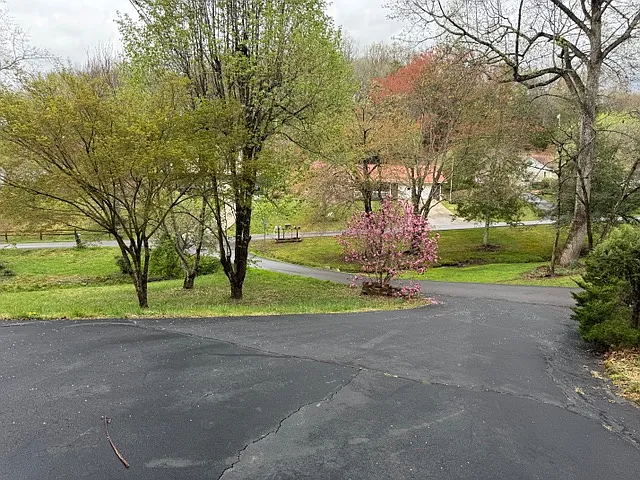 View of neighborhood.