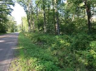 LOT 9 German Rd LOT 9, Willet, NY 13863