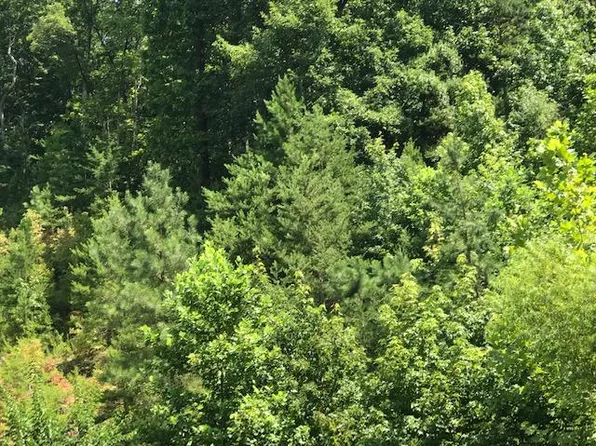 Roane St, Harriman, TN 37748