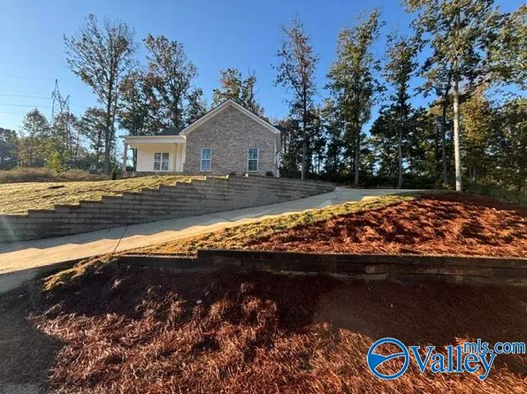 247 Chambers Rd, Arab, AL 35016