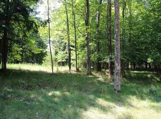 5915 Lodgepole Rd, Harbor Springs, MI 49740