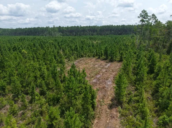7 Owens Ferry Rd, White Oak, GA 31568