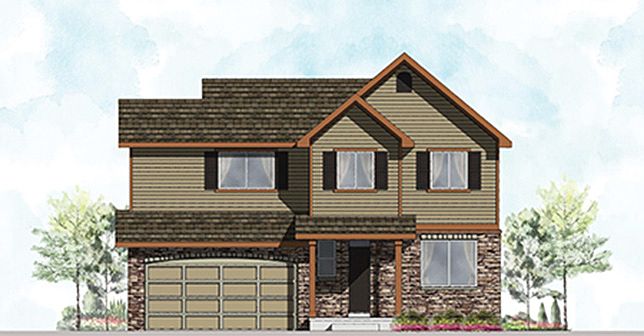 Elevation Image 1.