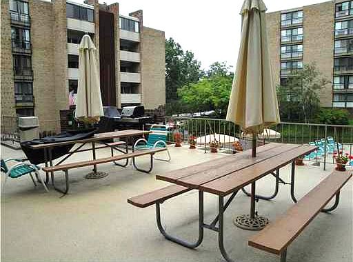 picnic area