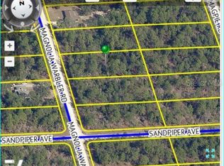 16146 Magnolia Warbler Rd, Weeki Wachee, FL 34614