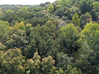 0 Chalk Hill Ch Rd Lot 1, Camden, TN, 38320