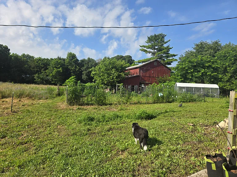 4650 Eaton Rd — Photo 4