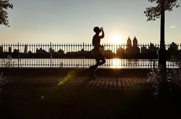 Rented by Vector New York, LLC | media 7