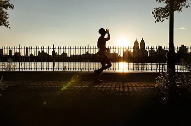 Rented by Vector New York, LLC