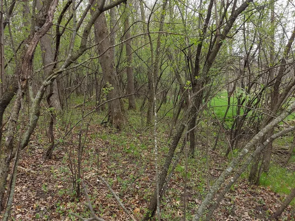 Harrison Ave, Amery, WI 54001