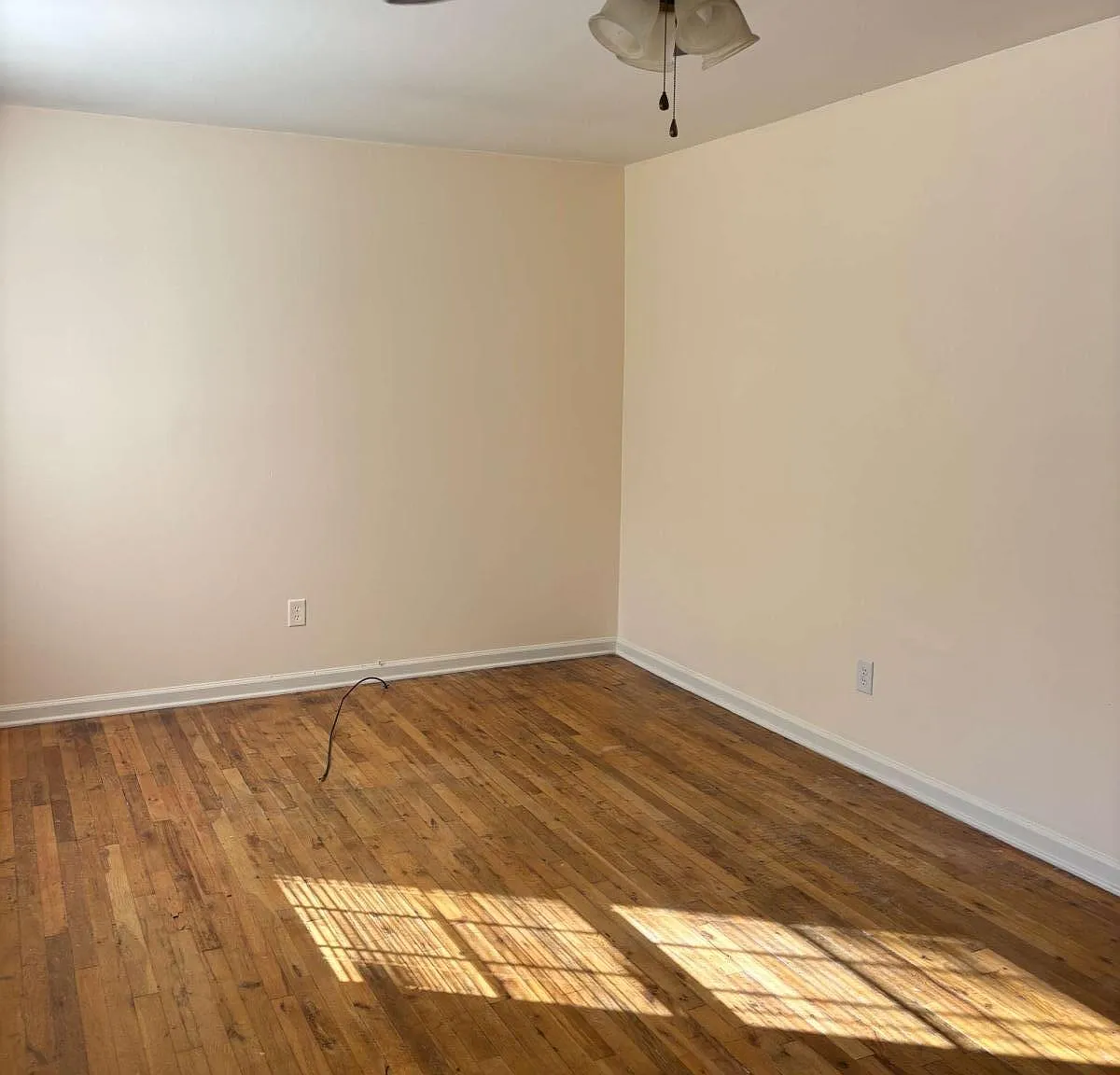 2 bed, 1.0 bath, 818 sqft, $1,600 — Photo 3