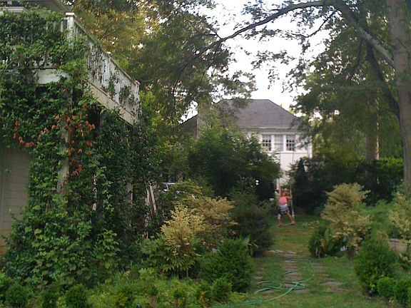 back yard facing home & guest house