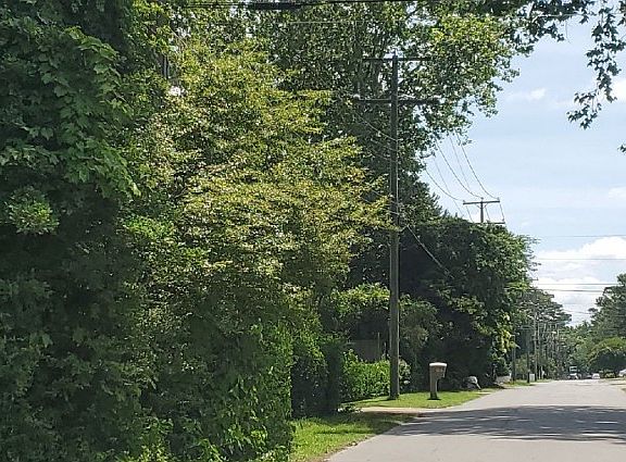 5th image of 801 Martin Ave