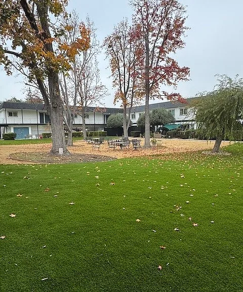 Silicon Valley Apartments — Photo 8