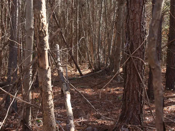 0 Us Highway 158 E #2978408515, Macon, NC 27551