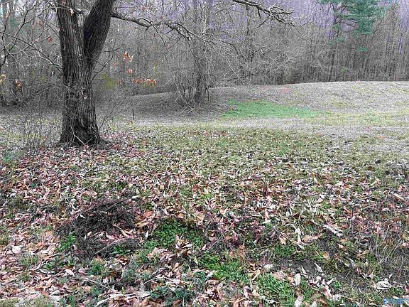 2nd image of 2283 Fowlers Ferry Rd S