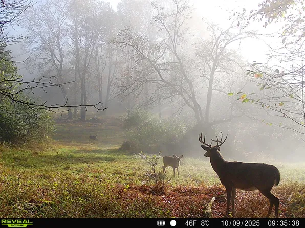 W Creek Rd, Emporium, PA 15834