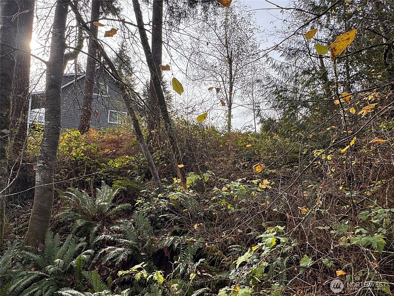 5th image of 1618 Maple Valley Drive