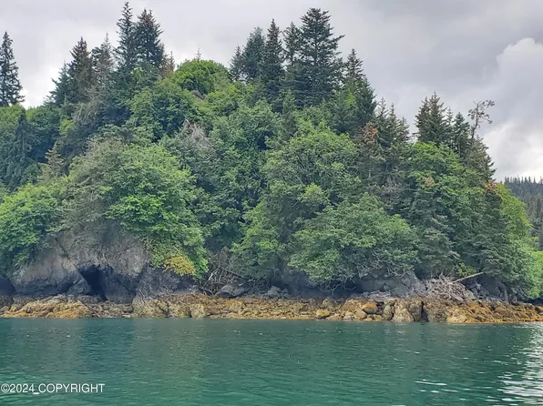 0 Halibut Cove Trl, Homer, AK 99603