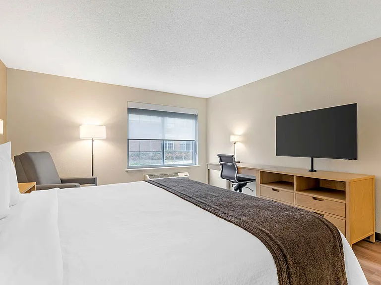 Studio Suite - 1 King Bed