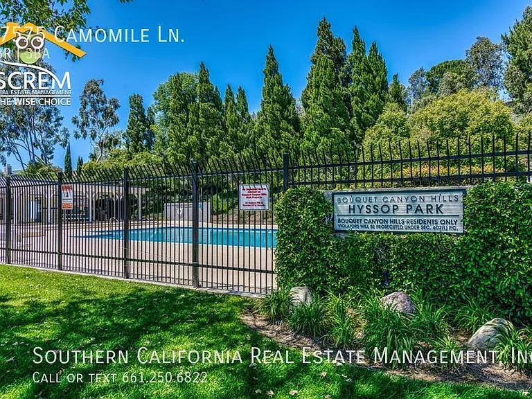 27575 Camomile Ln — Photo 33