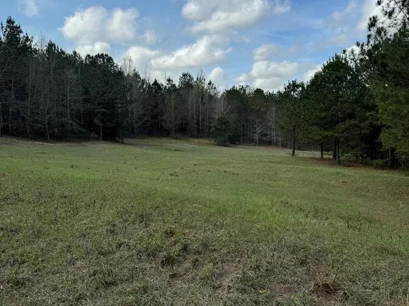 0 County Road 33, Louisville, AL 36048