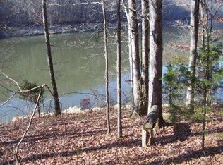 01 Proffit Hollow Lane, New Tazewell, TN 37825