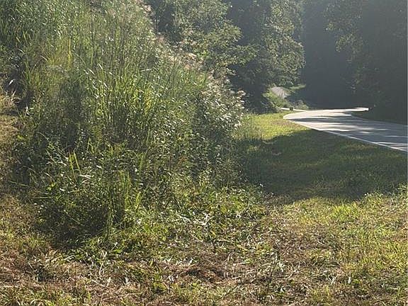 3rd image of 0 Lake Ridge Dr