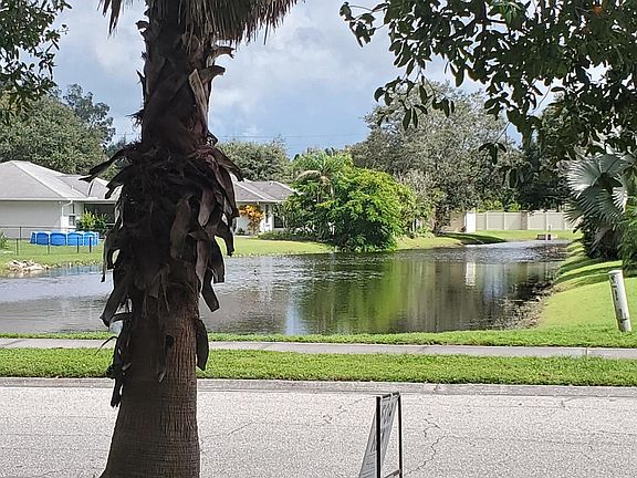 Pond view from front door. Fountain in the middle of the pond runs during periods of the day.