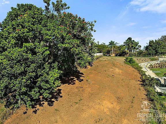 4th image of Bo Guayabo Carr 414 Km #5.7