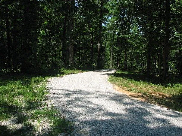 2 bed, 1800 sqft, $1,750 — Photo 4