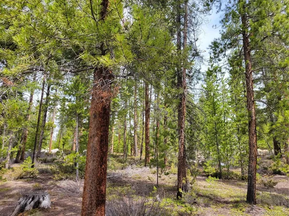 265 GCR 4633, Grand Lake, CO 80447