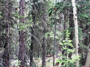 00 Hidden Wilderness Road, Idaho Springs, CO 80452