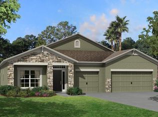 12174 Orchid Ash St, Riverview, FL 33579