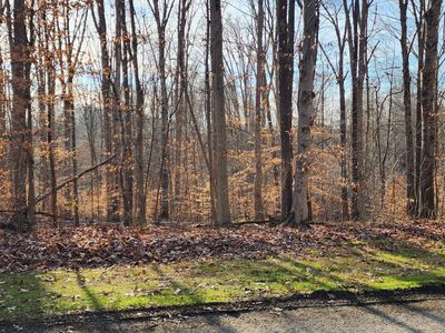 132 Davis Ct, Surgoinsville, TN, 37873