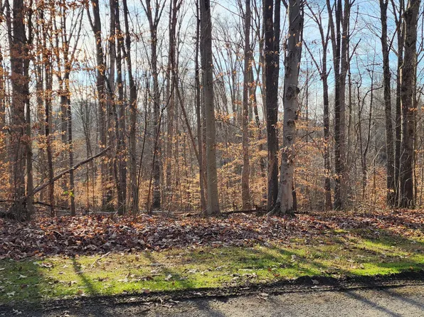 132 Davis Ct, Surgoinsville, TN 37873