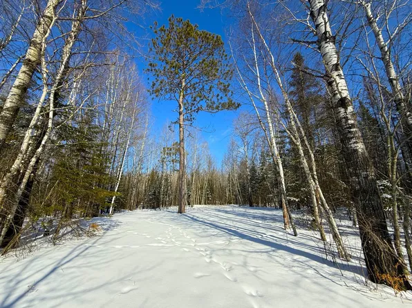 72 E Central Lakes Rd Lot C, Eveleth, MN 55734
