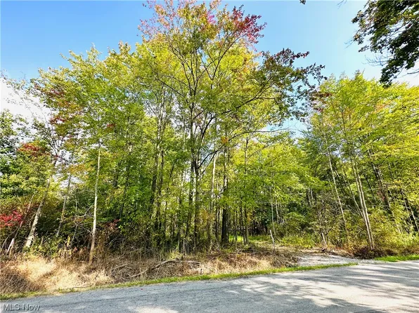 6161 Bushnell Campbell Rd, Kinsman, OH 44428