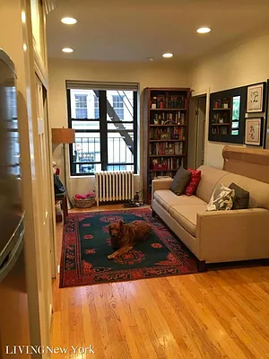 Rented by Living New York | media 29