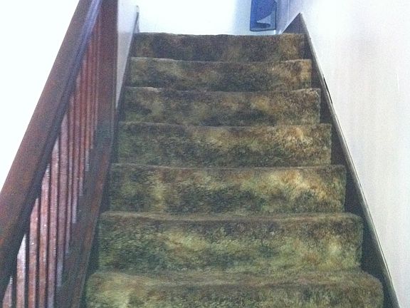 up stairs to 3 bedrooms and full bath