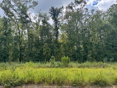 LOT 40 NW Blue Oak Ln, Jennings, FL, 32053