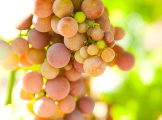 81268 S Fork Walla Walla River Rd, Milton Freewater, OR 97862