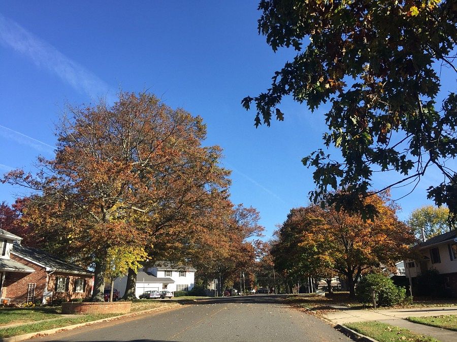 2nd image of 15 Borton Dr
